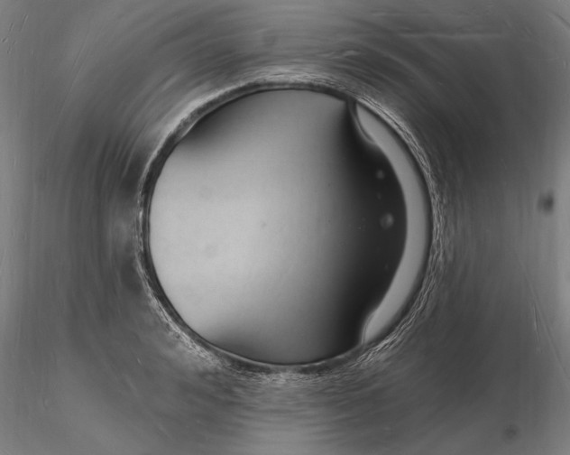 X0000116130992200912141105