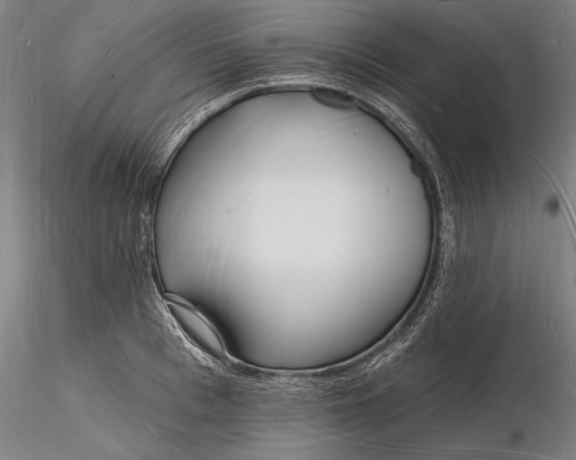 X0000116130993200912141105