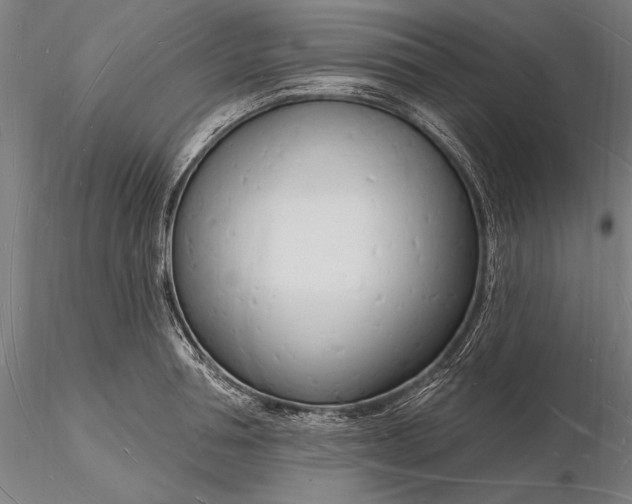 X0000116130994200912141105