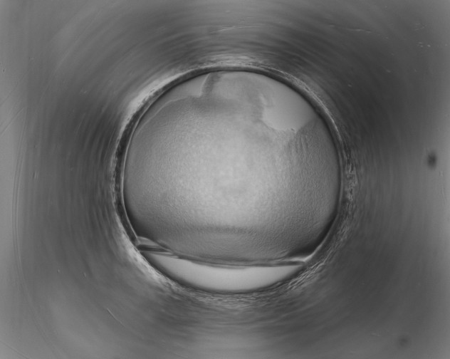X0000116130995200912141105