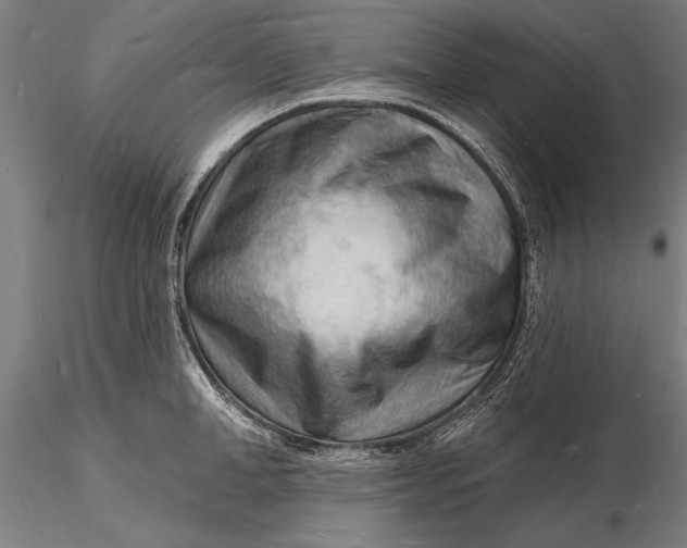 X0000116130998200912141105