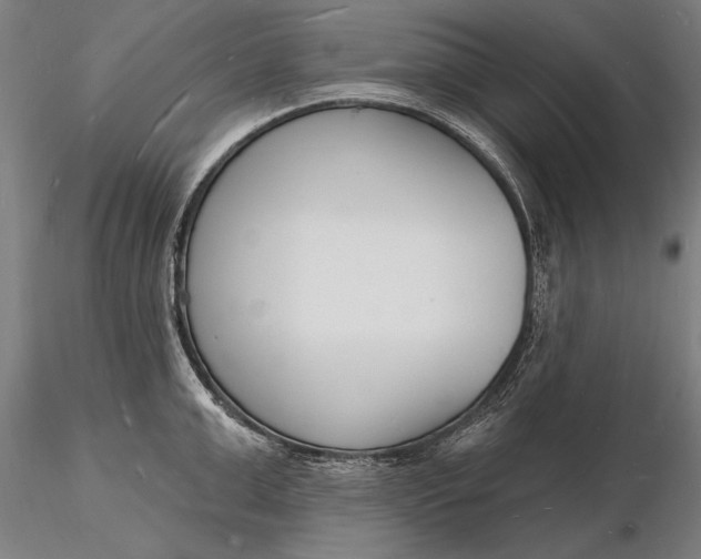 X0000116130999200912141105