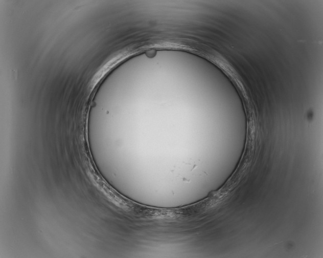 X0000116131002200912141105