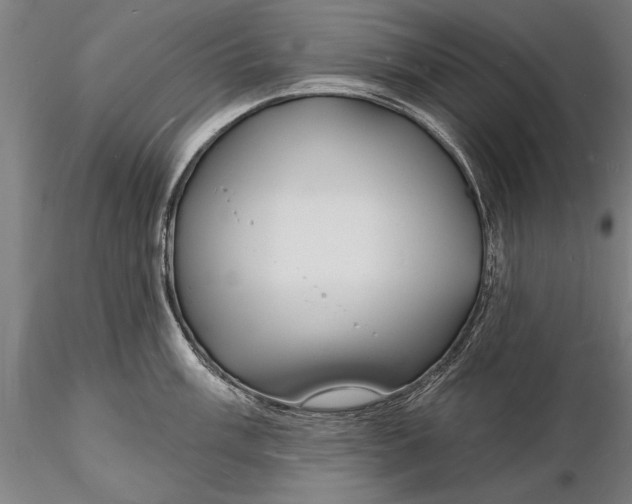 X0000116131003200912141105