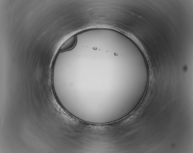X0000116131004200912141105
