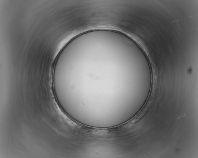X0000116131006200912141105