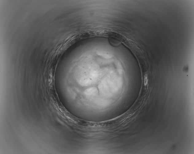 X0000116131011200912141104