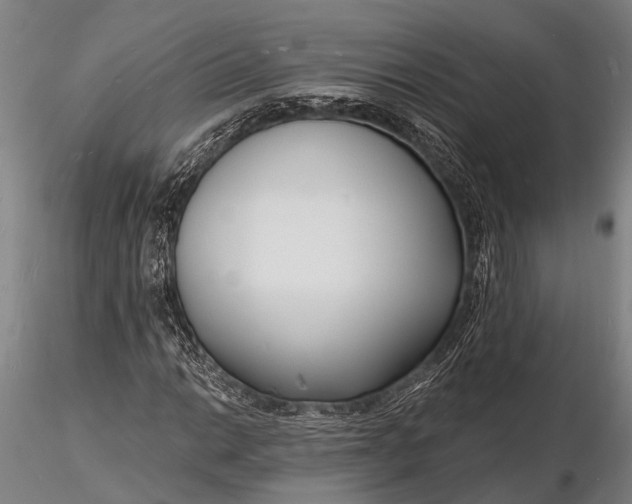 X0000116131014200912141104