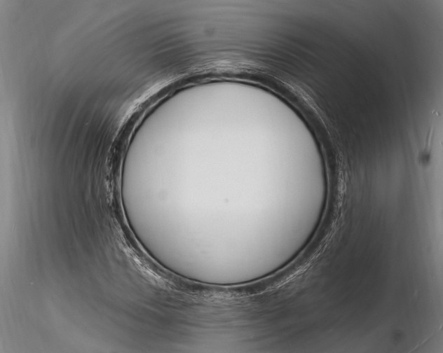 X0000116131018200912141104