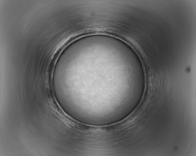 X0000116131023200912141104