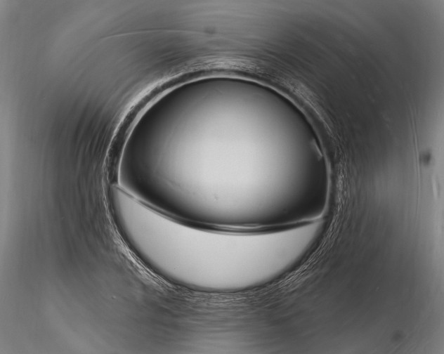 X0000116131024200912141104