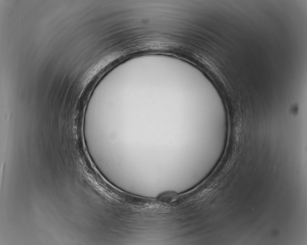 X0000116131026200912141104