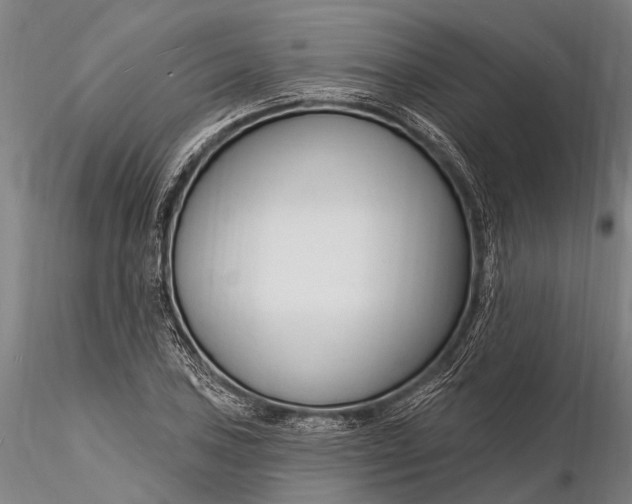 X0000116131027200912141104