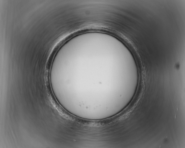X0000116131029200912141104