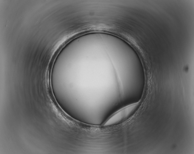 X0000116131032200912141104