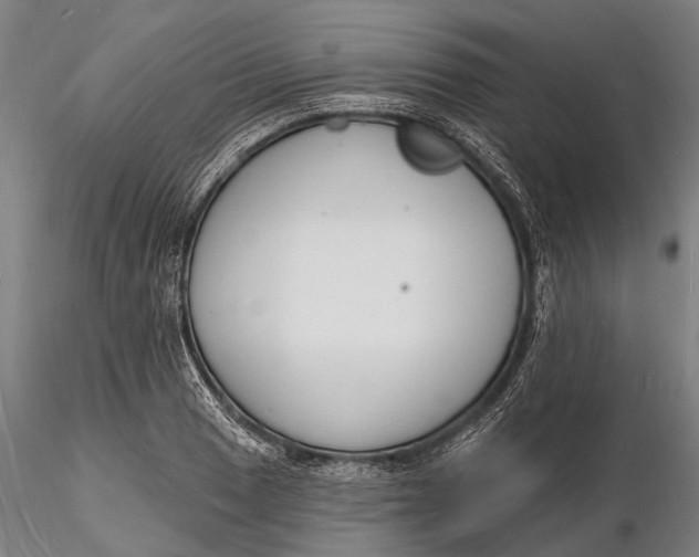 X0000116131033200912141104