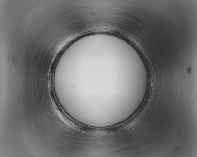 X0000116131034200912141104