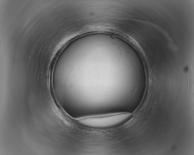 X0000116131035200912141104