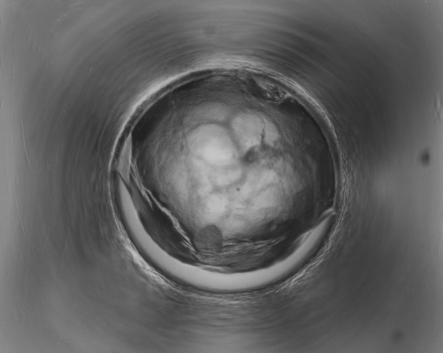 X0000116131037200912141104