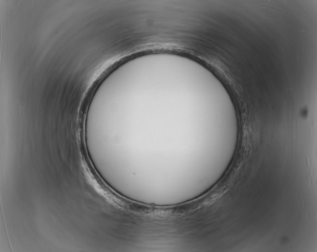 X0000116131038200912141104