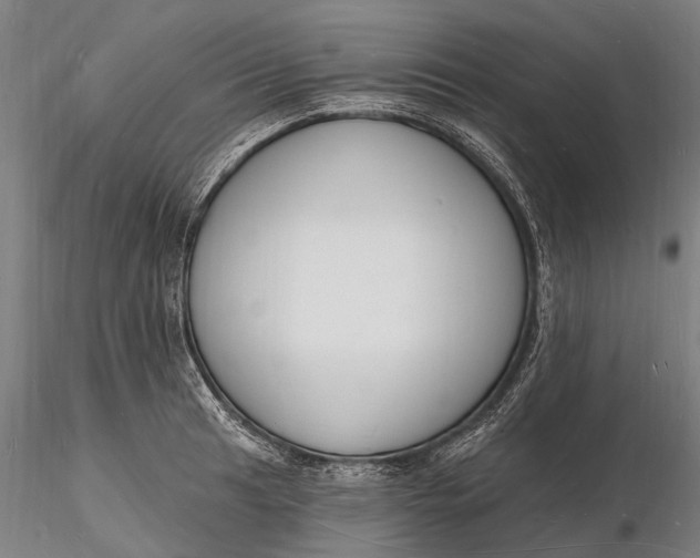 X0000116131041200912141104