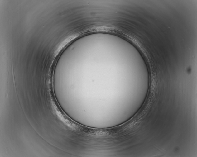 X0000116131042200912141104