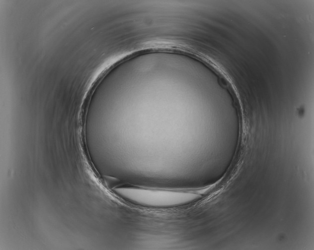 X0000116131045200912141104