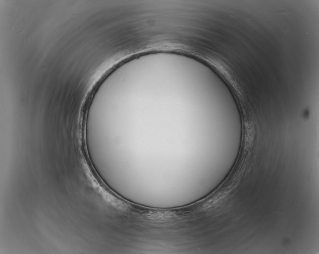 X0000116131046200912141104
