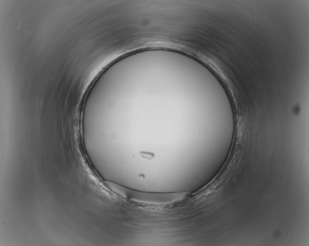 X0000116131048200912141104