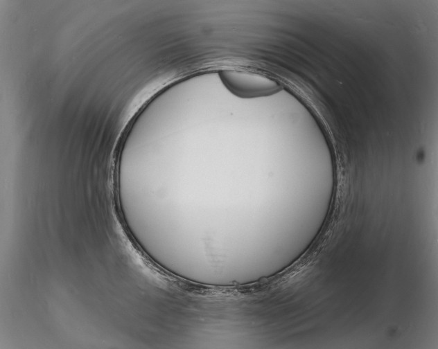 X0000116131050200912141104