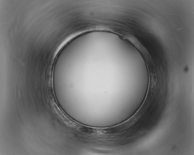X0000116131052200912141105