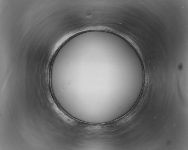 X0000116131054200912141105