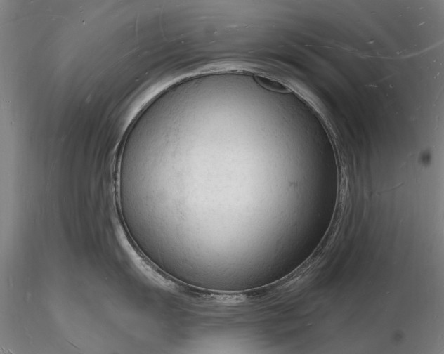 X0000116131055200912141105