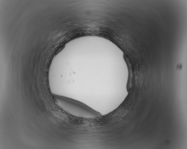 X0000116131057200912141104