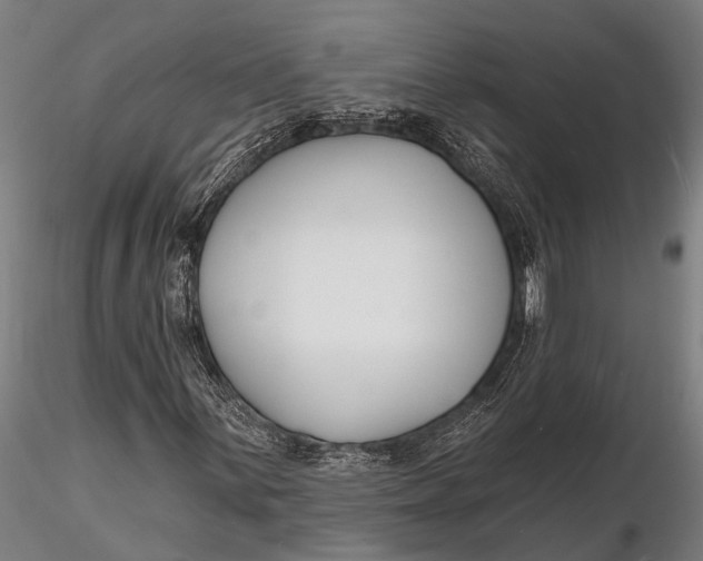X0000116131059200912141104