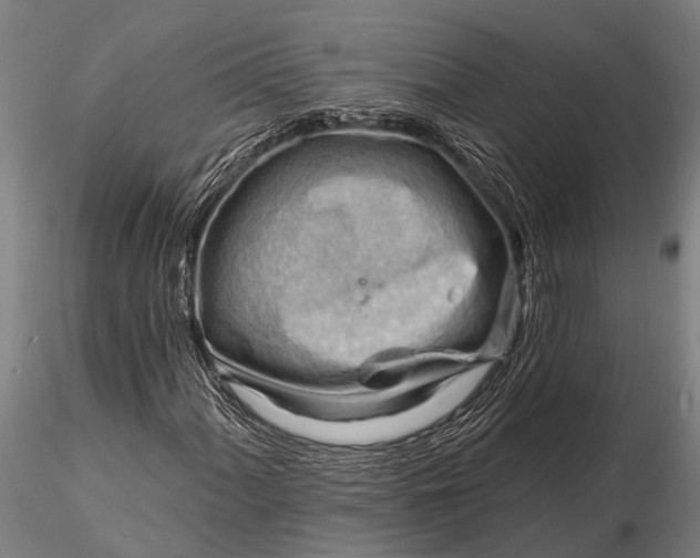 X0000116131060200912141104