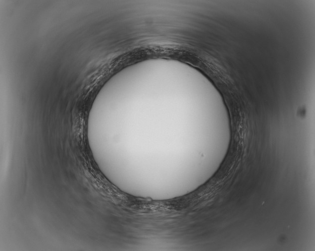 X0000116131061200912141104