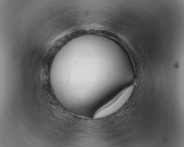 X0000116131063200912141104