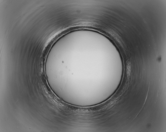 X0000116131069200912141104