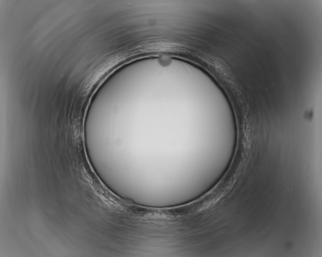 X0000116131073200912141104