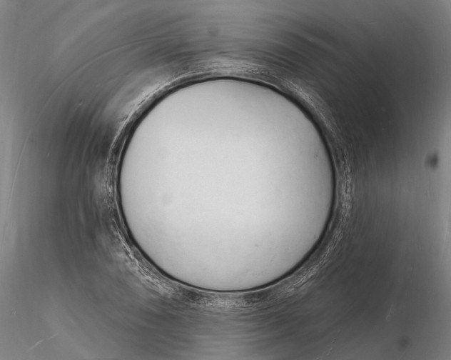 X0000116131074200912141104