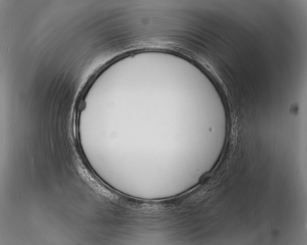 X0000116131080200912141103
