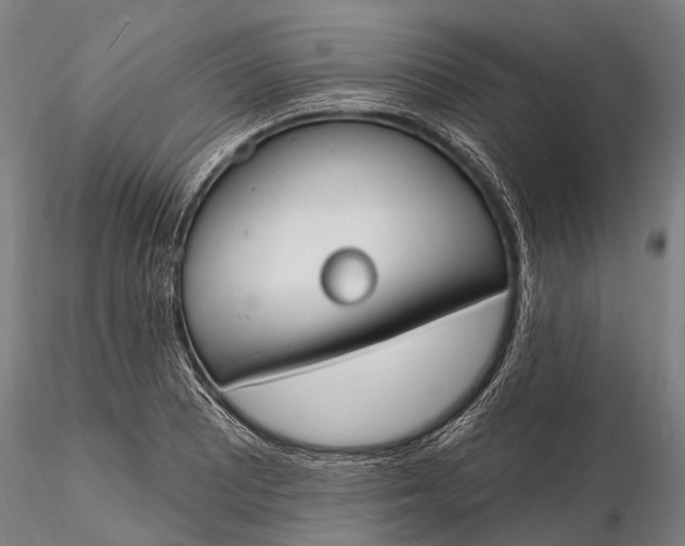 X0000116131081200912141103