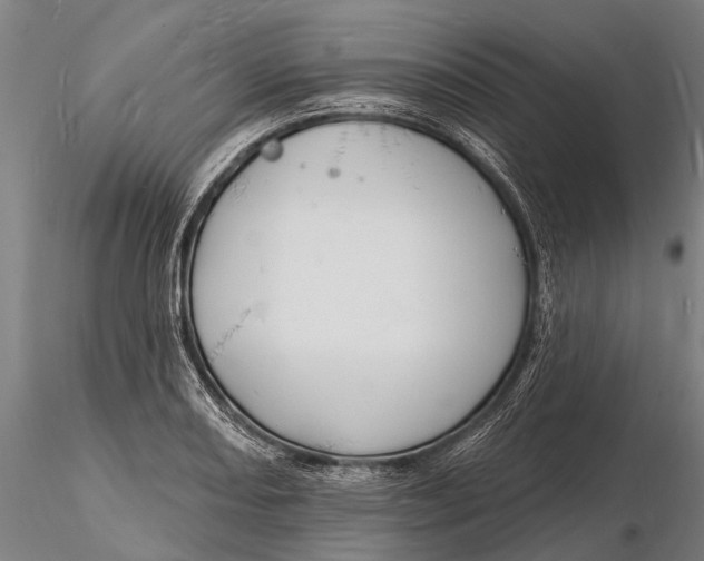 X0000116131082200912141103
