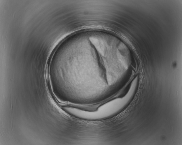 X0000116131084200912141103