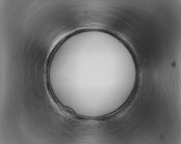 X0000116131085200912141103