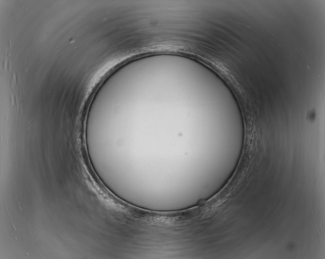 X0000116131086200912141103