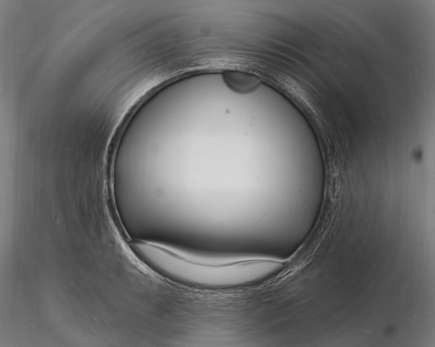 X0000116131087200912141103