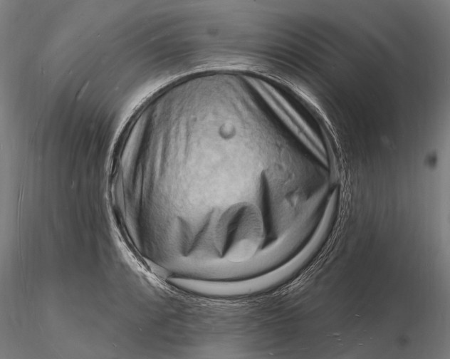 X0000116131088200912141103