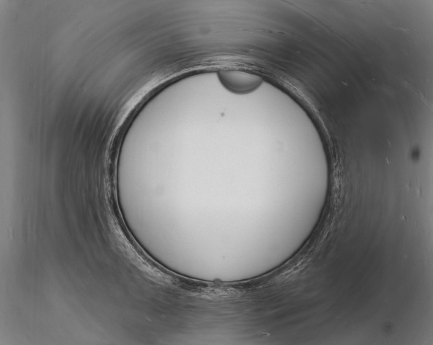 X0000116131091200912141103